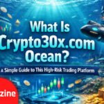 What Is Crypto30x.com Ocean? A Simple Guide to This High-Risk Trading Platform