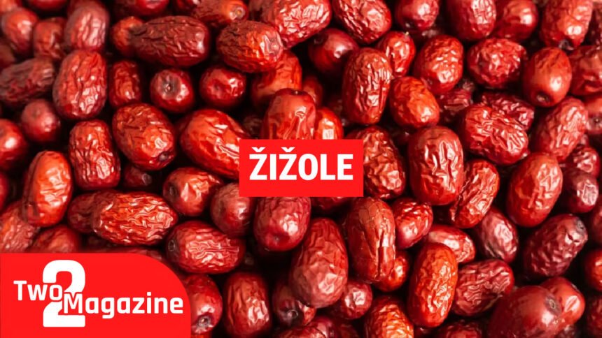 What is Žižole? The Ancient Fruit That Helps You Sleep Better and Stay Healthy