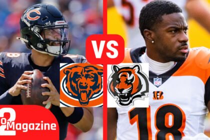Chicago Bears vs Bengals Player Stats Breakdown: Key Performances and Highlights