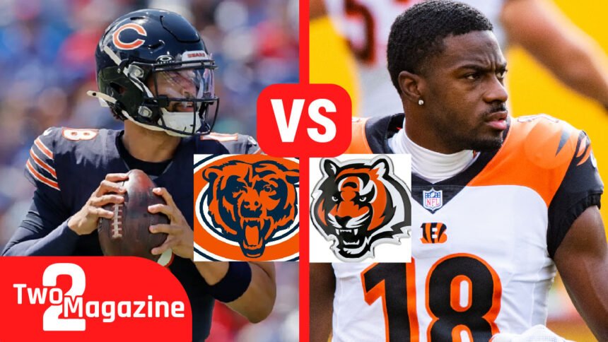 Chicago Bears vs Bengals Player Stats Breakdown: Key Performances and Highlights